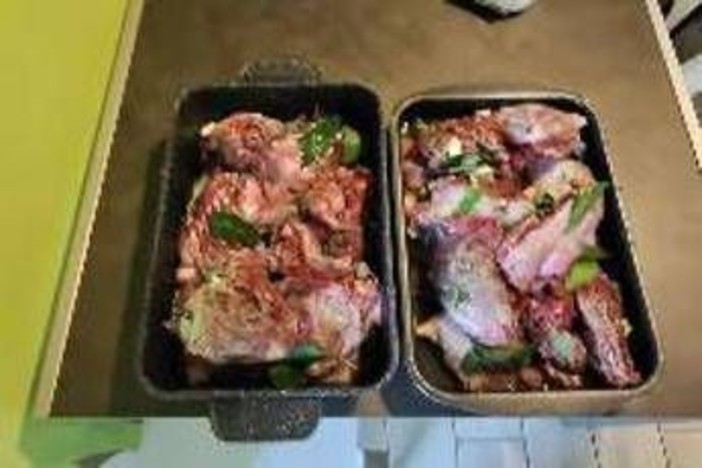 Nutrie arrosto a Pasquetta? Bassetti: "Come mangiare i topi" Nutrie arrosto a Pasquetta? Bassetti: "Come mangiare i topi"