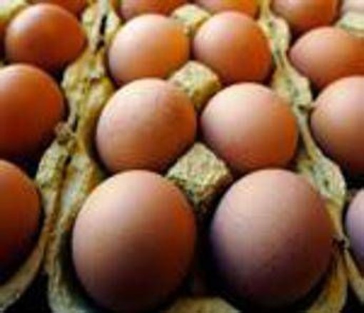 Richiamo uova biologiche per rischio Salmonella: lotti e scadenze Richiamo uova biologiche per rischio Salmonella: lotti e scadenze