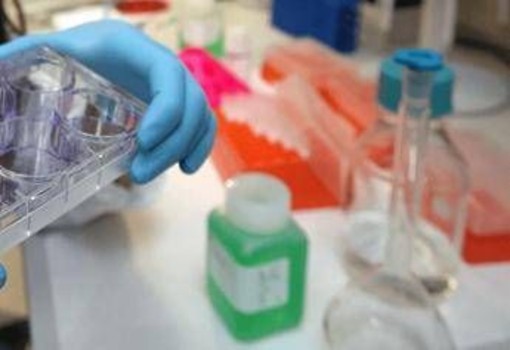 Giornata tumore seno metastatico, in Italia oltre 55mila donne con la malattia﻿