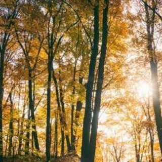 Il maltempo molla la presa, torna l'anticiclone e salgono le temperature: la tendenza dei prossimi giorni