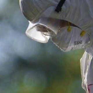 Aviaria, l'allarme dell'Ecdc: "In Europa più rischi per l'uomo", cosa sta succedendo Aviaria, l'allarme dell'Ecdc: "In Europa più rischi per l'uomo", cosa sta succedendo