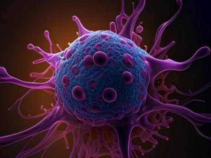 Tumori, aumentano nei giovani: in crescita neoplasie colon, pancreas e polmone