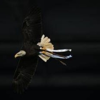 Lazio, Flaminia vola ma... sbaglia strada: atterraggio in Monte Mario