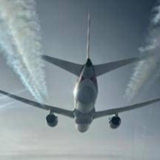 Cimici dei letti a bordo di un aereo proveniente dall'Australia, volo Qantas fermato a Fiumicino: cos'è successo Cimici dei letti a bordo di un aereo proveniente dall'Australia, volo Qantas fermato a Fiumicino: cos'è successo