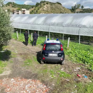 Scoperte nel reggino 35 mila metri quadrati di serre abusive in area protetta