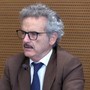 Energia, Felici (Mase): "Puntare su più fonti, non su un’unica soluzione per la decarbonizzazione"