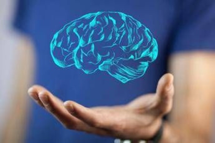 Il cervello cresce e invecchia, i 4 compleanni importanti per la mente: lo studio Il cervello cresce e invecchia, i 4 compleanni importanti per la mente: lo studio