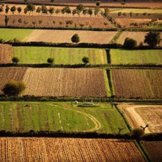 Banca nazionale delle Terre Agricole (Bta), al via nona edizione: in vendita 8.863 ettari per un valore di oltre 121 milioni di euro Banca nazionale delle Terre Agricole (Bta), al via nona edizione: in vendita 8.863 ettari per un valore di oltre 121 milioni di euro