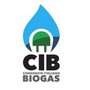 Energia, Cib presenta a Biogas Italy report sul potenziale produttivo di biometano Energia, Cib presenta a Biogas Italy report sul potenziale produttivo di biometano