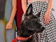 Cannes, il cane Yuri vince la Palm Dog: è la star del film 'La Perra'