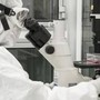 Nuovi virus creati con l'intelligenza artificiale: "E' una svolta per produrre farmaci e terapie"